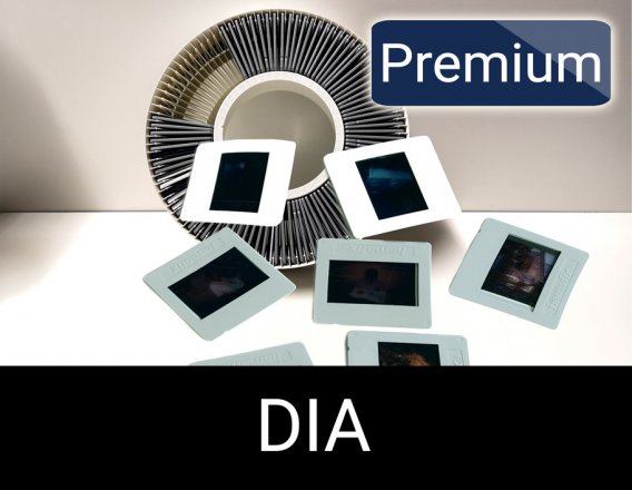 Dia digitalisieren Premium 3600dpi